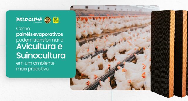 Como os painéis evaporativos podem transformar a Avicultura e Suinocultura em um ambiente mais produtivo