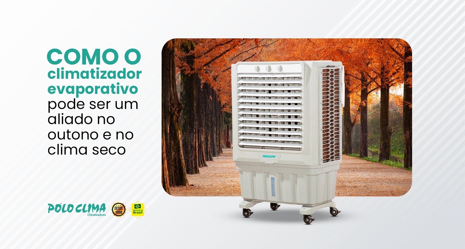 Como o climatizador evaporativo pode ser um aliado no outono e no clima seco