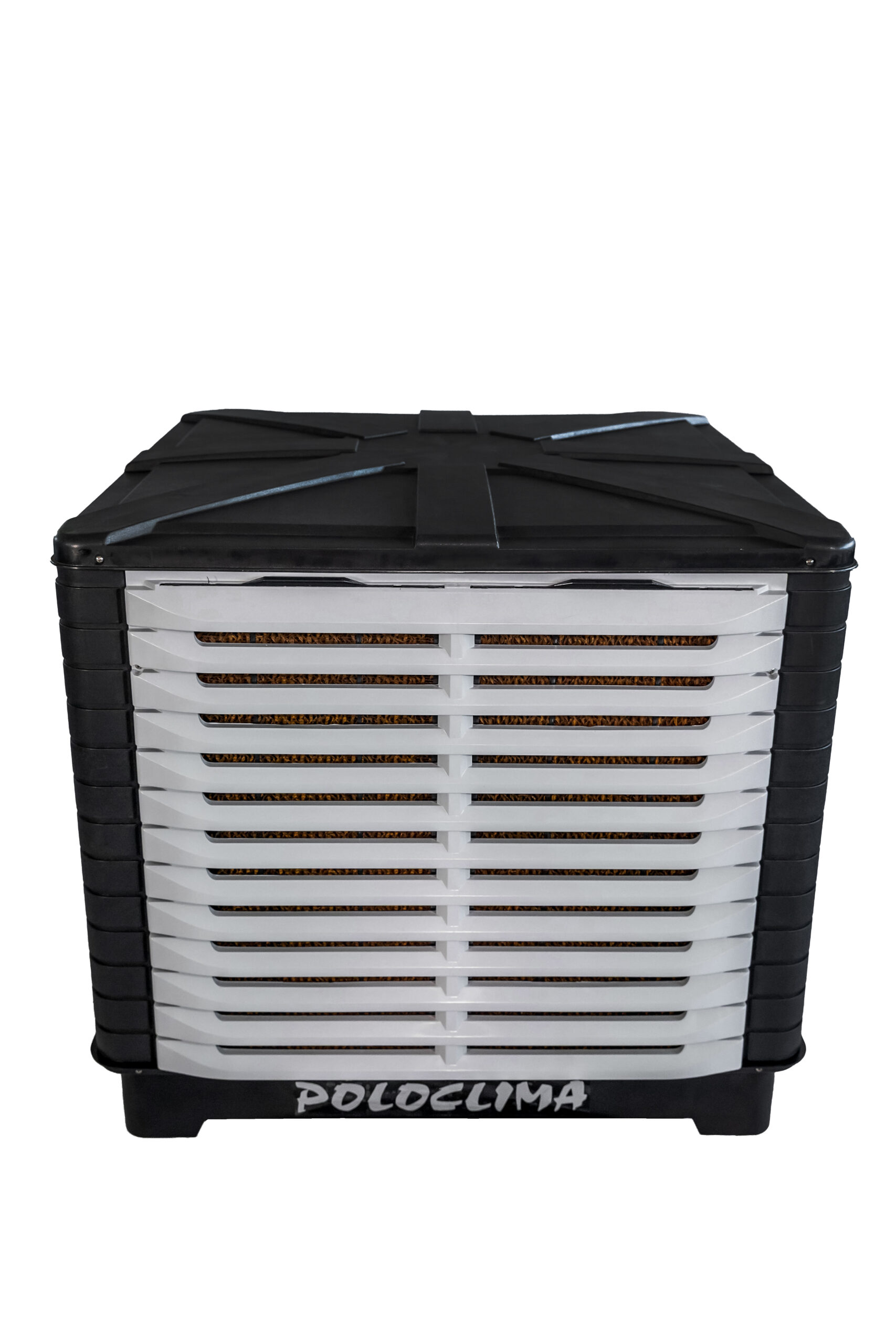 KLI-300D a CAM_1_313 COPIAR