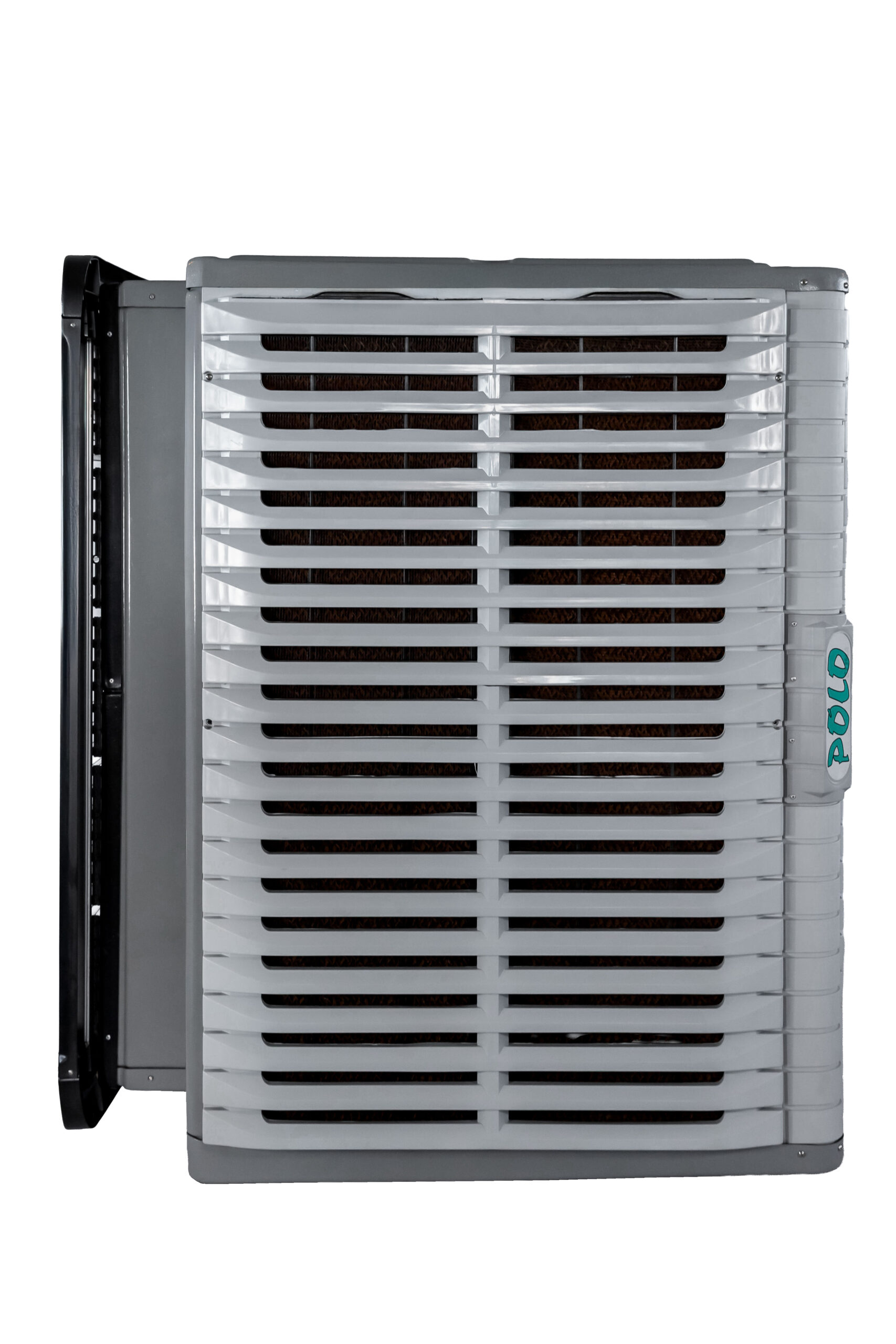 P50 3 CAM_1_105 COPIAR