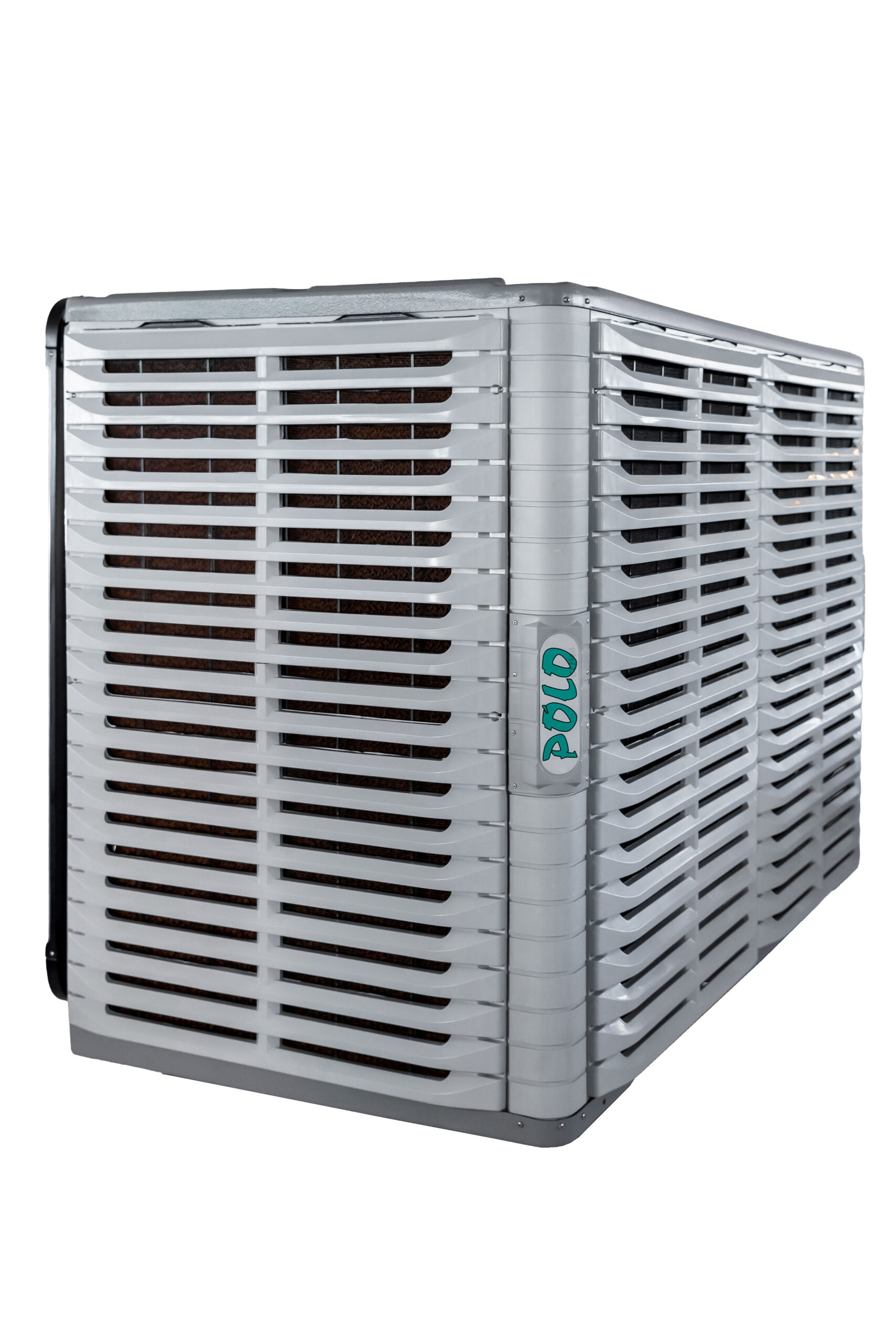 P50 4 CAM_1_106 COPIAR